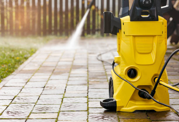 Best Animal Enclosure Cleaning  in Port Dickinson, NY